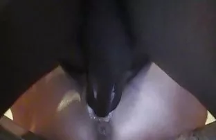 XXX آمد به