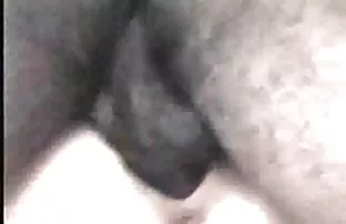 XXX شلخته با تجربه به طور گسترده گسترش پاها و نشان می دهد که بیمه گربه