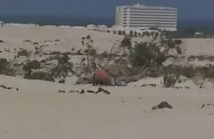 XXX سکس در خارج از منزل